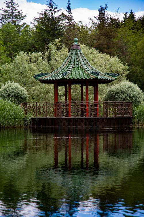 Wood Pergola