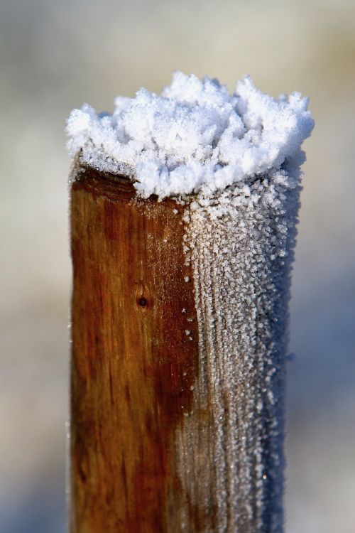 wood pile icing frost