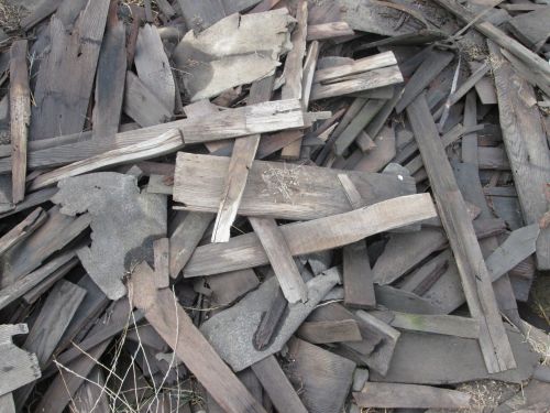 Wood Pile 2