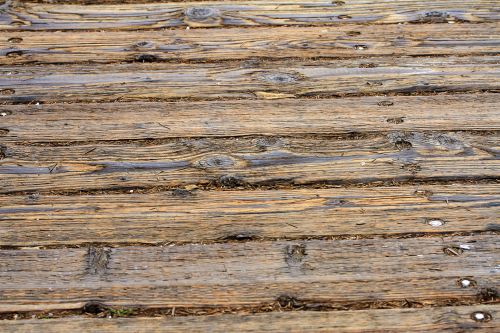 Wood Plank Texture