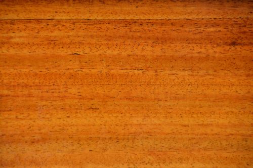texture wood grain wood texture