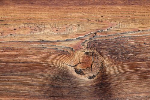 wood texture timber wood grain