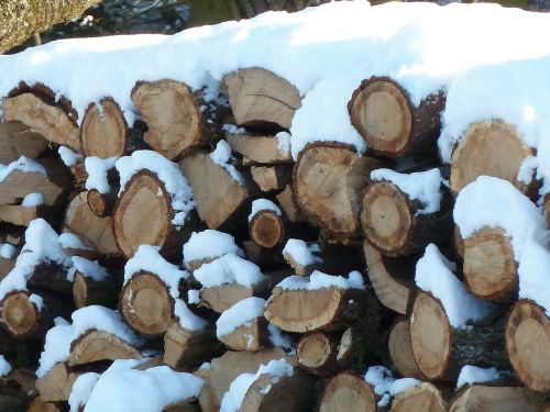 wood trunks snow wood