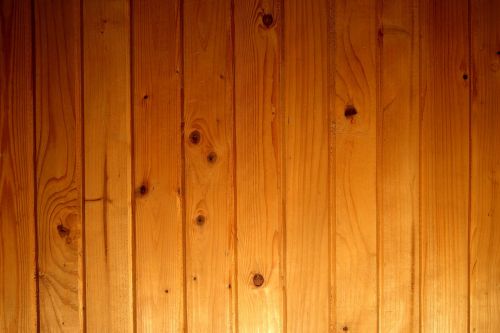 wooden wallpaper tree