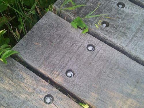 wooden planks nature