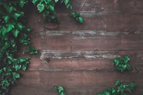 wooden floor green