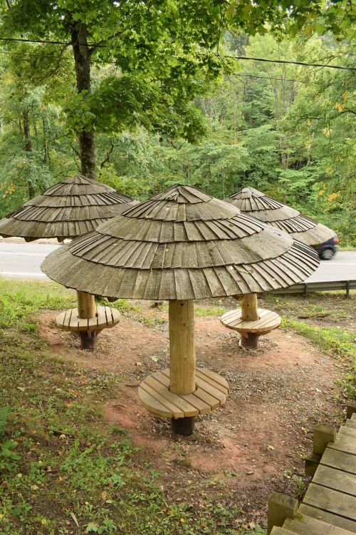 wooden umbrellas table