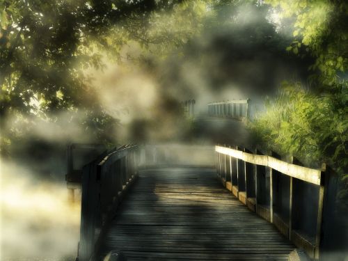 wooden bridge sunny