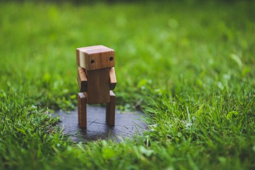 wooden robot grass
