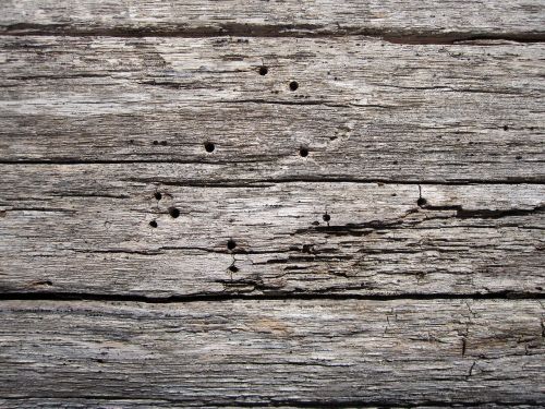 wooden surface texture