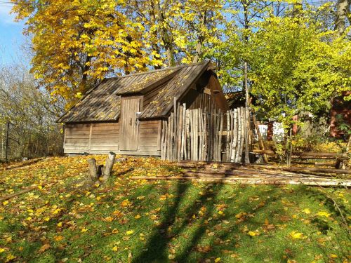 wooden hut woods