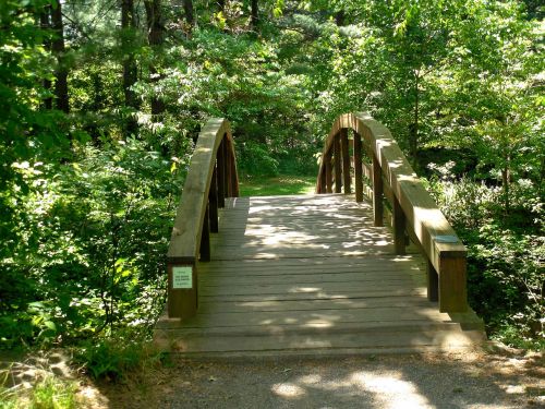 wooden bridge nature