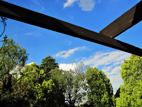 Wooden Beams Against The Sky