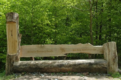 wooden bench bench forest