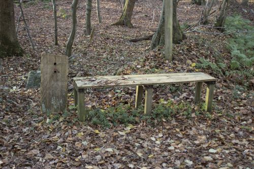 wooden bench bank nature