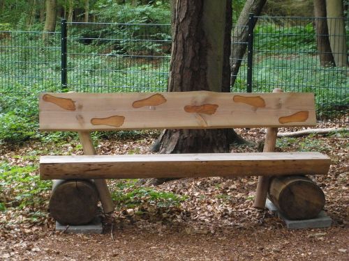 wooden bench rest nature