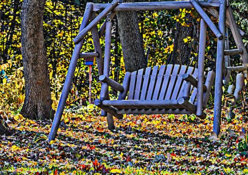 Wooden Bench In Fall Foliage