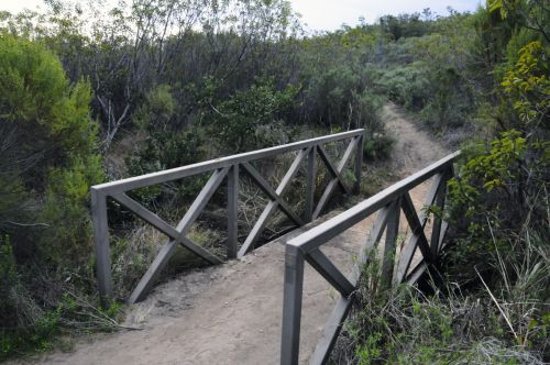 Wooden Bridge 1