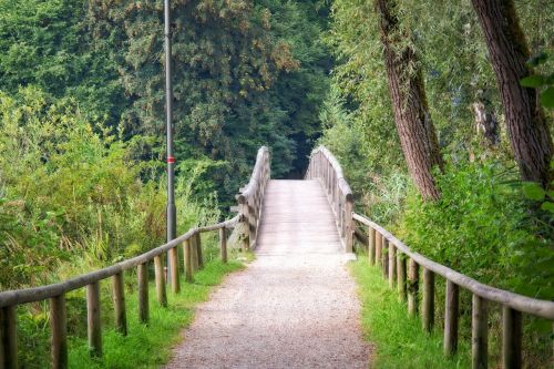 wooden bridge bridge transition