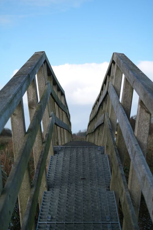 wooden bridge web away