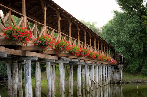 wooden bridge  water  romantic