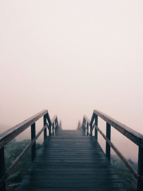 wooden bridge foggy bridge