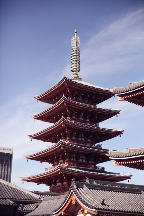 wooden building temple roof