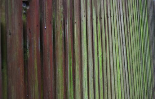 Wooden Fence