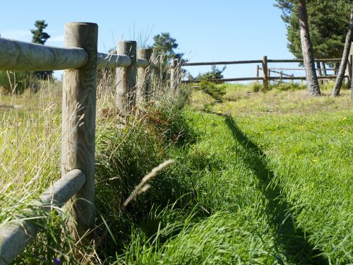 wooden fence grass field