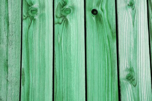 Wooden Fence Background Green