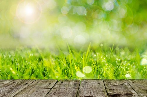 Wooden Floor And Green Grass