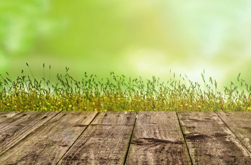 Wooden Floor With Green Background