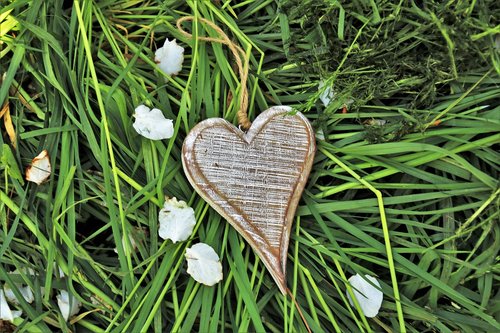 wooden heart  feeling  spring