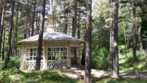 wooden house gazebo forest