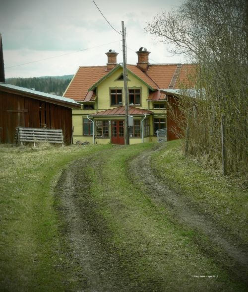 Wooden House