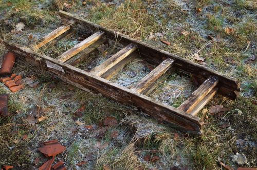 wooden ladder wood frost