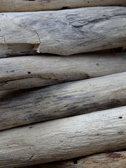 Wooden Logs Background