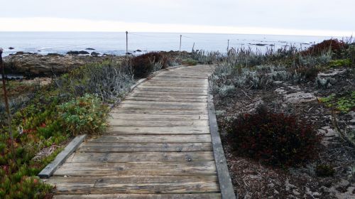 Wooden Path To Sea