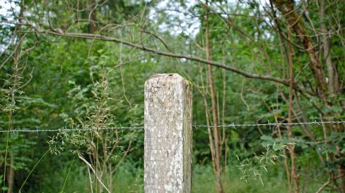 wooden posts post barbed wire