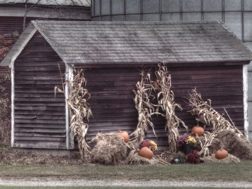 Wooden Shack