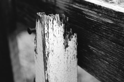 wooden slat batten post