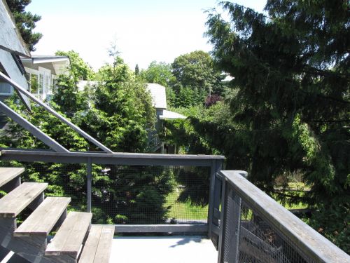 Wooden Stairs Above Trees