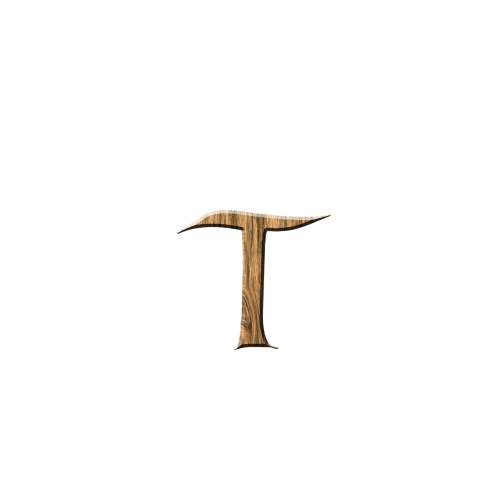 wooden t t letter