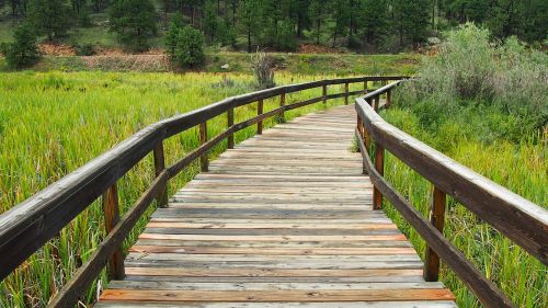 wooden walkway wooden bridge bridge