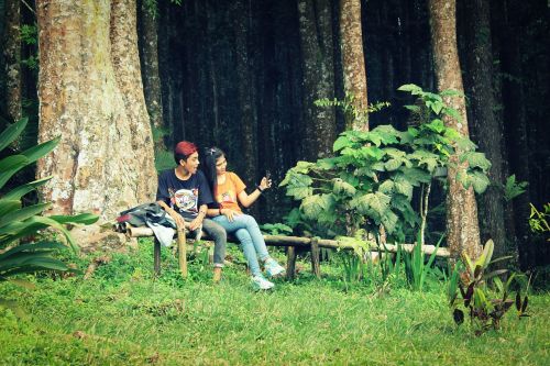 woods trees couple