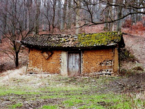 woods cabin abandoned