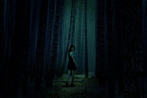 woods  dark  scared