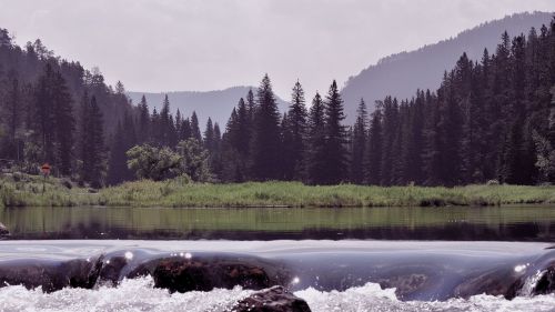 woods nature landscape