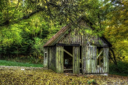 woodshed  lack of maintenance  worn