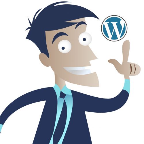 wordpress idea business man